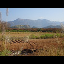 Die die Mekong-Ebene nach Nordosten begrenzenden Berge